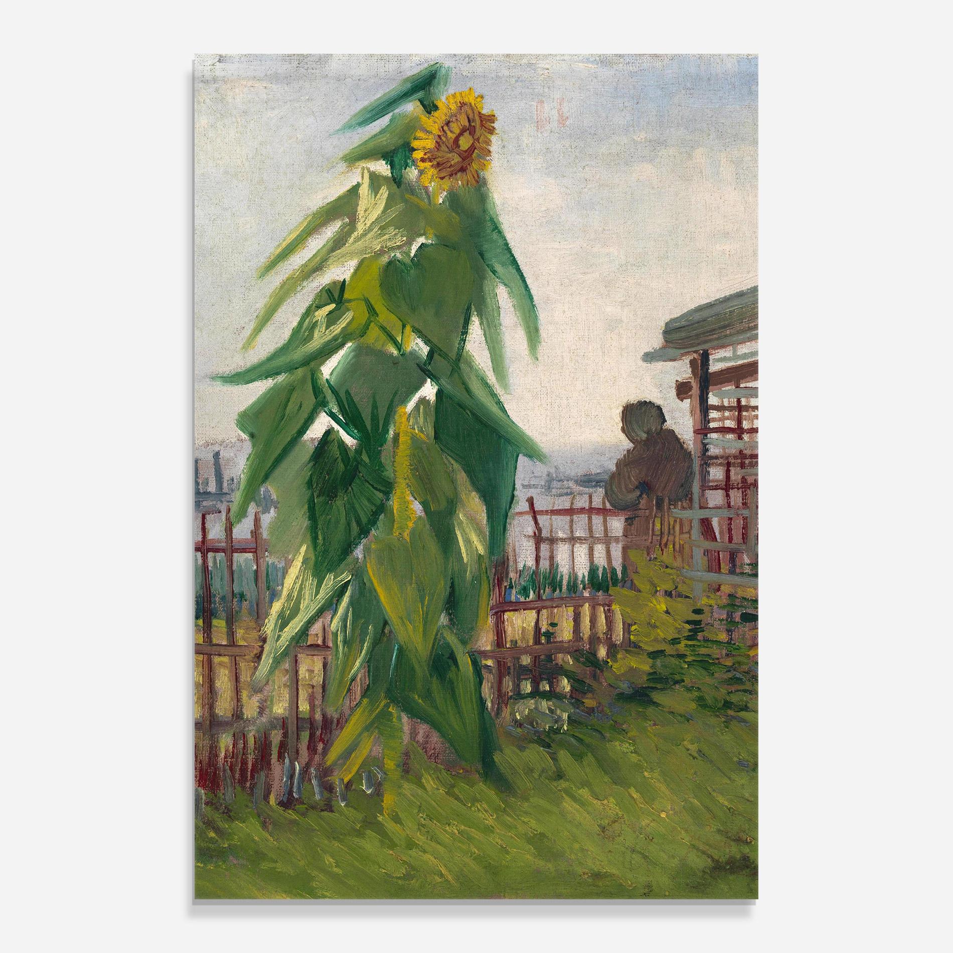 Tablou Sticla Allotment With Sunflower mockup 0