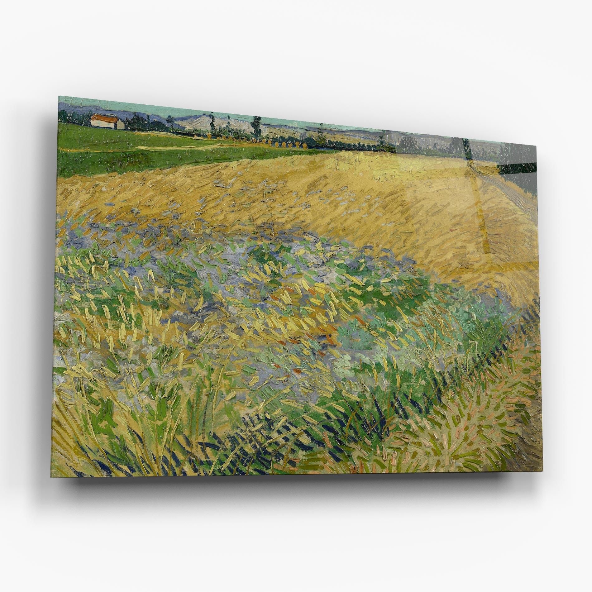 Tablou Sticla Korenveld mockup 6