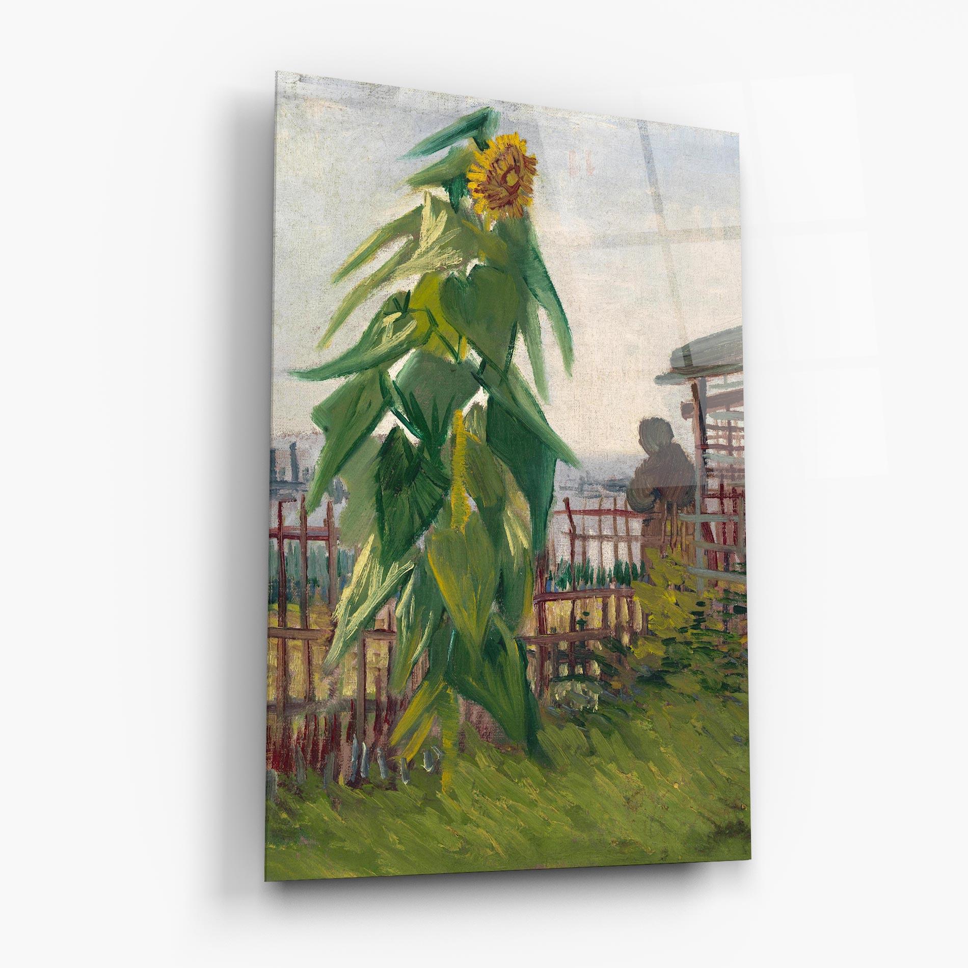 Tablou Sticla Allotment With Sunflower mockup 6