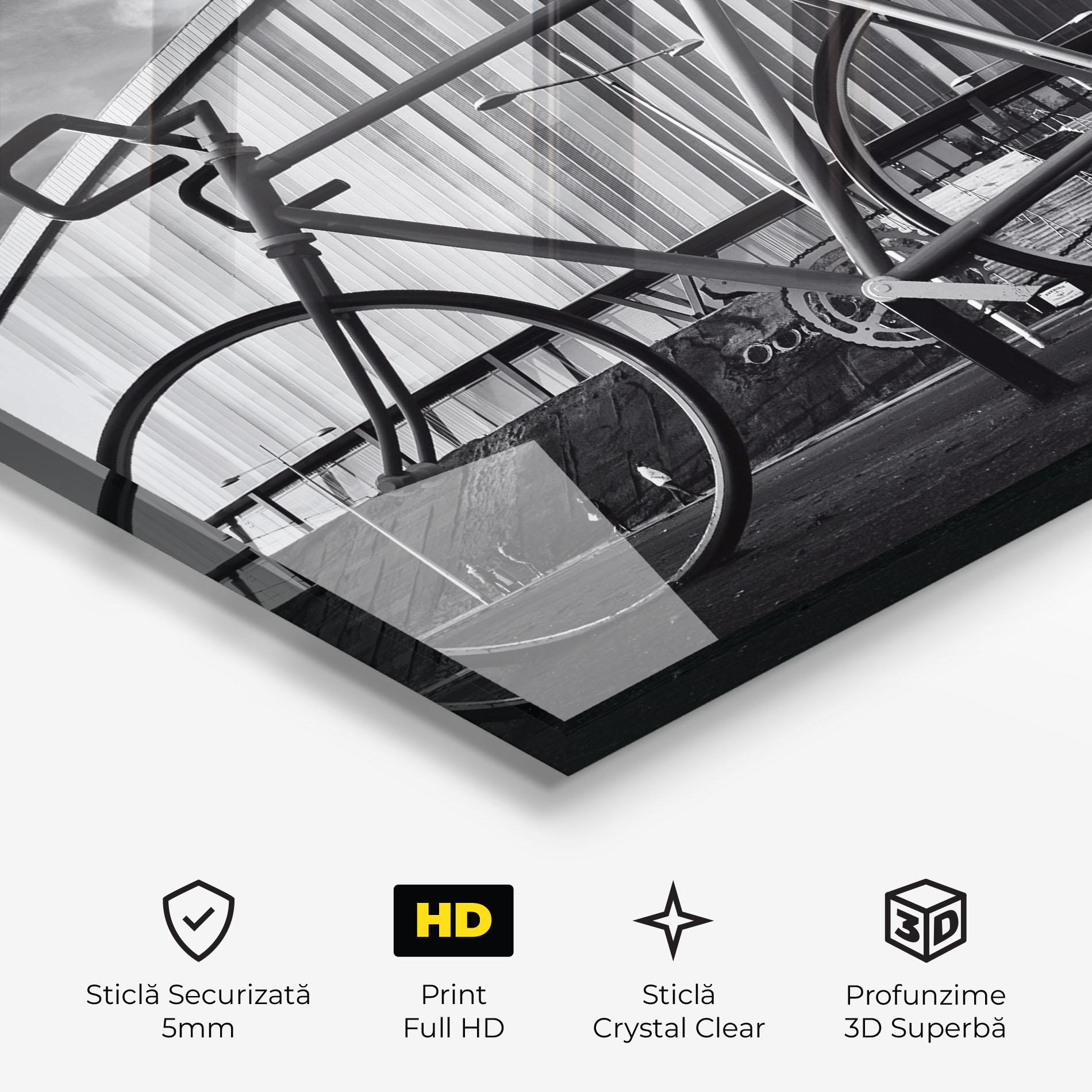 Tablou Sticla Big Grey Bike mockup 3