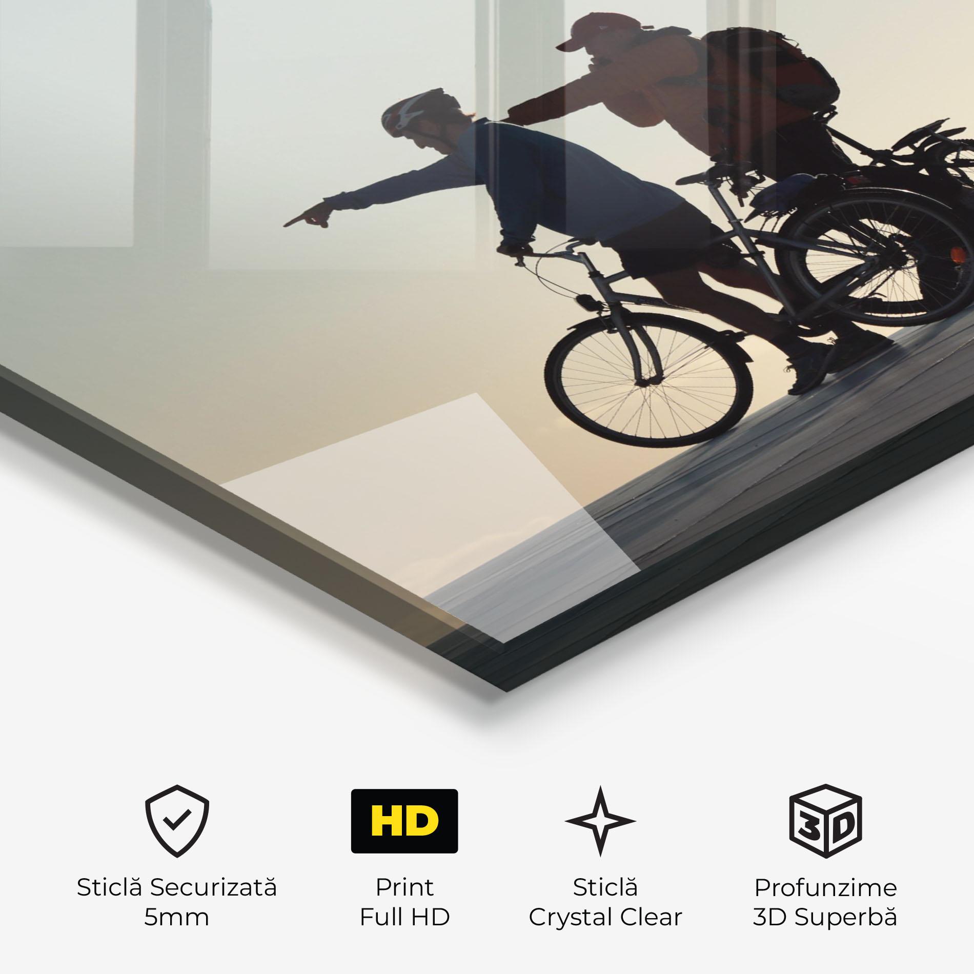 Tablou Sticla Bike Pointing Shilouette mockup 3