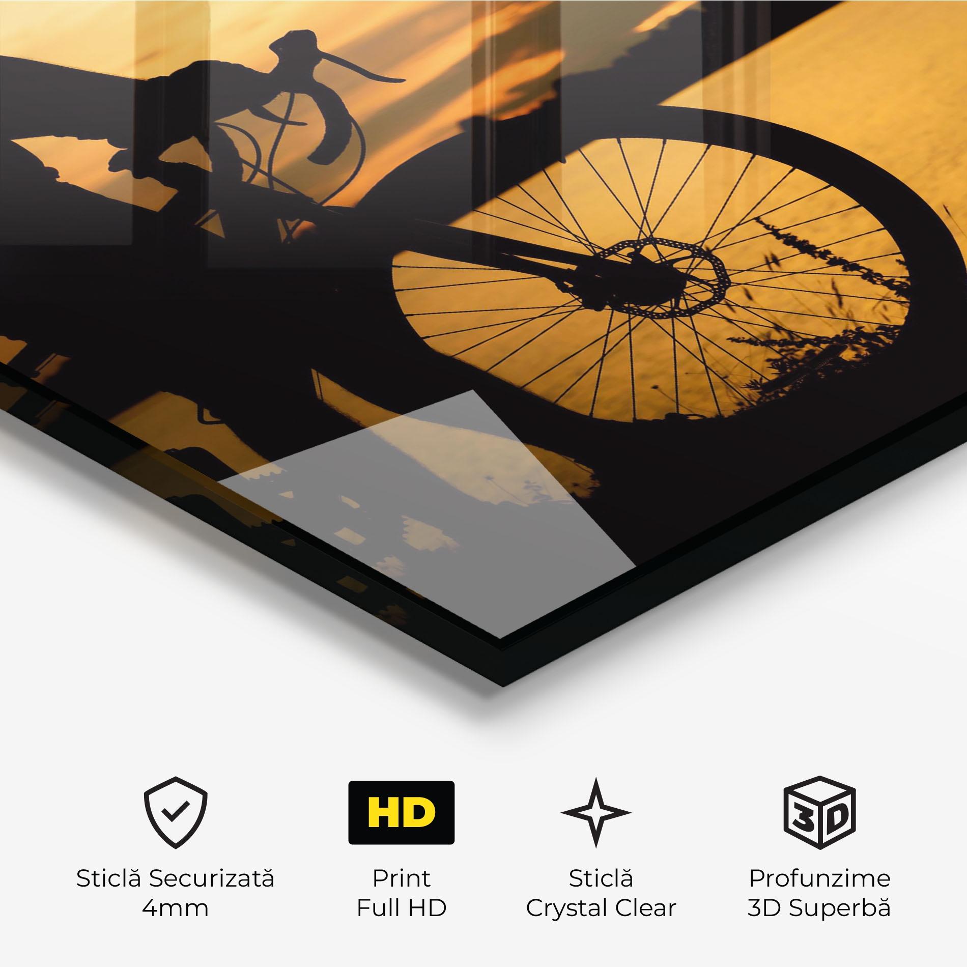 Tablou Sticla Bicycle Sunset Silhouette mockup 3