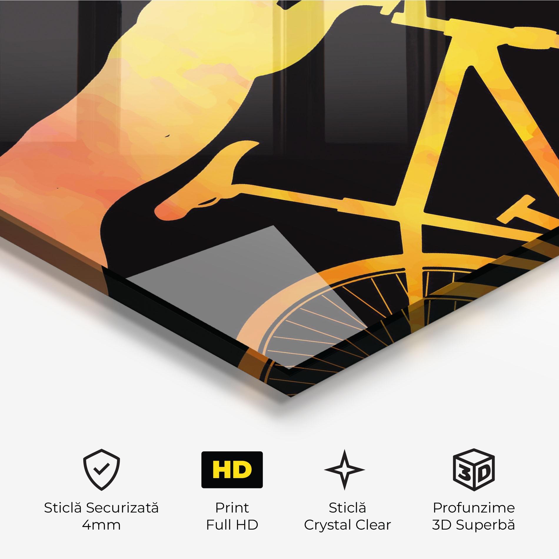 Tablou Sticla Cat Bike mockup 3