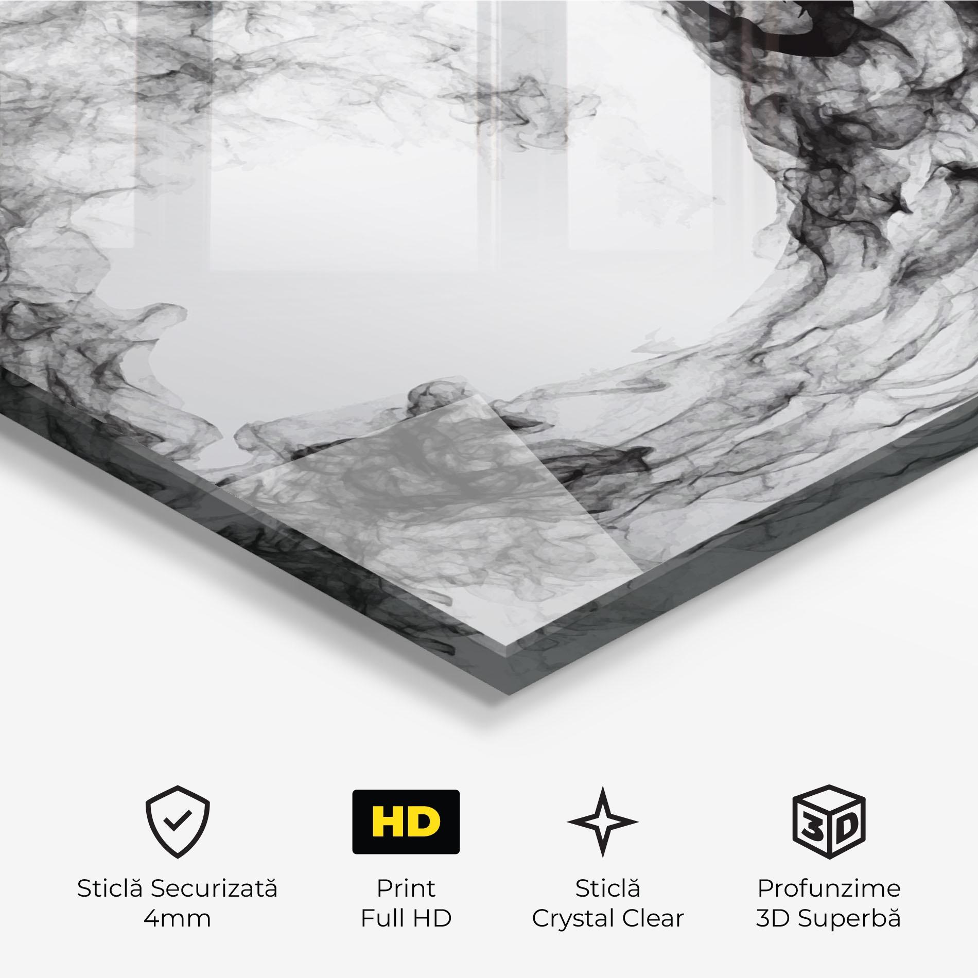 Tablou Sticla Black Tennis Smoke mockup 3